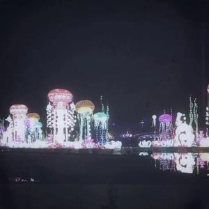 fr 1 day外国黄色大片
